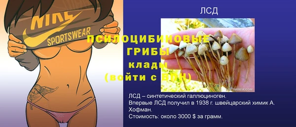 ECSTASY Лабытнанги
