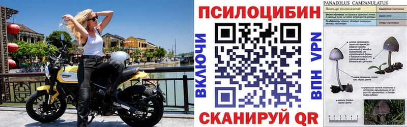наркошоп Баксан Псилоцибиновые грибы ЛСД