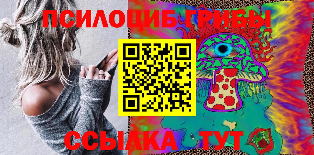 Галлюциногенные грибы GOLDEN TEACHER  Псилоцибиновые грибы Cubensis  Баксан  Вход с VPN 