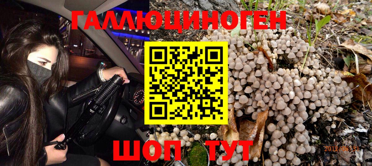 Галлюциногенные грибы MAGIC MUSHROOMS Баксан